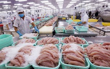 EVFTA mang lại lợi ích cho tất cả các bên