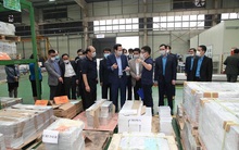 Hơn 800 doanh nghiệp ngừng hoạt động, giảm quy mô vì Covid-19