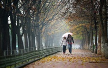 Không khí lạnh tăng cường Bắc Bộ rét đậm, rét hại