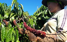 Bước vào cuộc chơi 10 nghìn tỷ USD, 1 năm 2 tín hiệu trái chiều