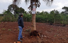 Bài học nắm bắt cơ hội của một nhà đầu tư BĐS: Từ số vốn 5 triệu tích lũy được gia tài tiền tỷ