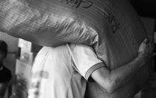 Bị sếp bắt đi bốc vác rồi đòi công nợ, 6 tháng sau cậu nhân viên kinh doanh nhận được cái kết mỹ mãn