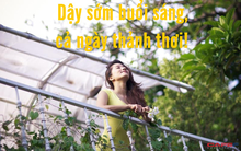 Dậy sớm buổi sáng, cả ngày thảnh thơi: Nguyên tắc vàng 50/30/10/10 để khởi động ngày mới, tận dụng từng phút giây, con đường tới mục tiêu rút ngắn một nửa