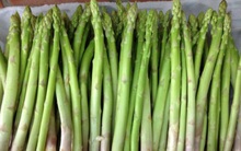 Có thể xuất khẩu măng tây sang Úc ngay từ tháng 3