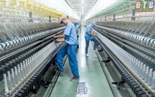 Áp lực cạnh tranh gay gắt khiến Đức Quân Fortex (FTM) báo lỗ 95 tỷ đồng năm 2019