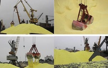 Trích lập dự phòng đối với DAP-VINACHEM khiến QBS báo lỗ 176 tỷ đồng trong năm 2019