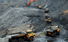 Than miền Bắc (TMB): Năm 2019 lãi 68 tỷ đồng cao gấp 5 lần cùng kỳ, vượt xa kế hoạch