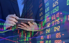 Phi từ 10.000 lên 60.000 đồng trong chưa đầy 2 tháng, GAB quyết định chào bán cổ phiếu tăng vốn gấp 5 lần