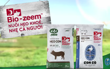 Công ty con ANCO của Masan MeatLife đạt gần 1.900 tỷ đồng doanh thu 2019
