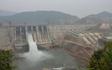 Nedi 2 (ND2) ước lãi 132 tỷ đồng năm 2020, tăng 34% so với năm 2019