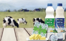 GTNfoods (GTN) thông qua phương án mua 9 triệu cổ phiếu quỹ