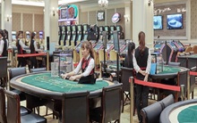 RIC điều chỉnh giảm mạnh chỉ tiêu kinh doanh 2020