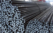 Con trai ông Trần Đình Long đã mua xong 20 triệu cổ phiếu Hoà Phát