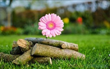 3 thói quen để sống đẹp như nhà triết học Aristoteles: Ngoài duy trì sự can đảm, lạc quan, còn cần điều quan trọng này nữa