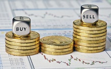 Thị giá giảm gần 1 nửa, một TV. HĐQT của Thủy sản Hùng Vương (HVG) vẫn đăng ký thoái sạch vốn