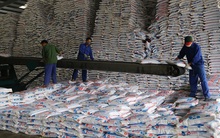 Năm 2020, Hóa chất Lâm Thao (LAS) dự kiến lãi 56 tỷ đồng cao gấp gần 5 lần 2019