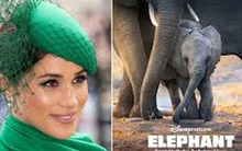 Meghan Markle công bố công việc đầu tiên sau khi rời khỏi hoàng gia và hé lộ chi tiết mới nhất về con trai Archie đang lớn từng ngày