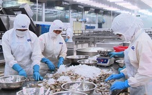 Doanh nghiệp thủy sản sụt giảm 35-50% đơn hàng do Covid-19