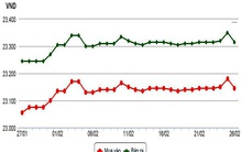 “Phá sản” kịch bản tỷ giá 2020