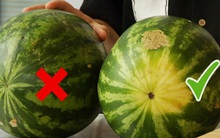 "Làm thế nào để chia 4 quả dưa hấu cho 5 người?": Câu trả lời chứng tỏ nhân tài sở hữu EQ cao, là người mà mọi công ty cần có