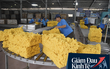 Ngành cao su lao đao với Covid-19 nhưng vẫn có doanh nghiệp phụ trợ tăng 50% đơn hàng