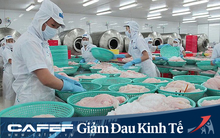 Xuất khẩu thủy sản tháng 3/2020 giảm gần 20% do dịch Covid-19