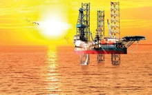 PV Drilling (PVD): Quý 1/2020 ước lãi 27 tỷ đồng, hiệu suất sử dụng giàn tự nâng đạt 100%