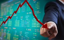 NTL giảm mạnh, Phó chủ tịch Lideco đăng ký mua thêm 1,2 triệu cổ phiếu