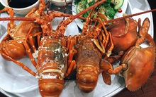 Mùa "giải cứu" tôm hùm bạn nhớ đừng phạm sai lầm này khi ăn kẻo vừa mất hết chất bổ, vừa "hạ độc" cơ thể nhanh khủng khiếp