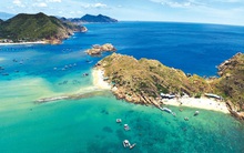 Một siêu dự án tại Bình Định có diện tích lên đến 1.400 ha