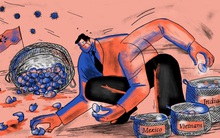 Các tập đoàn đa quốc gia: Người ăn mừng vì đã sang Việt Nam, kẻ hối hận vì còn ở lại Trung Quốc, tại sao vẫn có những công ty cố chấp "bỏ hết trứng vào một giỏ"?