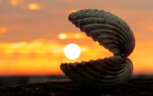 Chuyên gia Nguyễn Phi Vân ngạc nhiên vì nhiều bạn trẻ Việt thiếu tư duy nghĩ cho người khác: “Hoàn toàn thiếu sự thấu cảm"