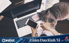Bí quyết làm việc online mùa dịch "không quạo": Tôi đã làm việc tại nhà suốt 10 năm và đây là những điều giúp tôi thành công trong công việc