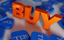 Giảm gần 38% từ đầu tháng, Chủ tịch Bamboo Capital (BCG) đăng ký mua 1 triệu cổ phiếu