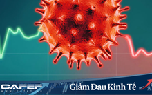 Project Syndicate: Tác động của COVID-19 đối với các nền kinh tế đang phát triển và mới nổi chỉ đang hé lộ, phải bắt đầu kế hoạch giải cứu kinh tế ngay