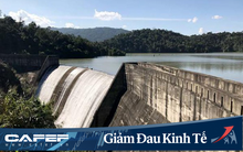 Sông Ba (SBA): Quý 1/2020 lãi 6 tỷ đồng giảm 77% so với cùng kỳ