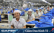 May Việt Tiến (VGG) lên kế hoạch năm 2020 sụt giảm 70% do tác động từ dịch Covid 19