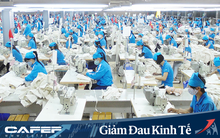 Nguyên phụ liệu nhập khẩu bị chậm do Covid 19, TNG báo lợi nhuận quý giảm 10% cùng kỳ