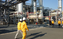 PV GasD (PGD) đặt kế hoạch lãi sau thuế 204 tỷ đồng năm 2020 dựa trên kịch bản giá dầu 60USD/thùng