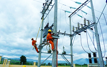 PCC1 (PC1) đặt kế hoạch lãi sau thuế 469 tỷ đồng năm 2020, tăng 25% so với cùng kỳ