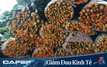 Giá hoa giảm sâu chưa từng có, người trồng phải nhổ bỏ để cắt lỗ