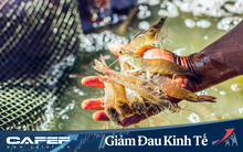 Thực phẩm Sao Ta (FMC): Quý 1 lãi 40 tỷ đồng tương đương cùng kỳ