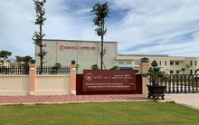 Camimex (CMX): LNST 2019 sau kiểm toán giảm 44% xuống còn 77,7 tỷ đồng