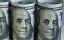 Giá dầu tiếp đà giảm sâu, nhu cầu xăng giảm mạnh chưa từng có