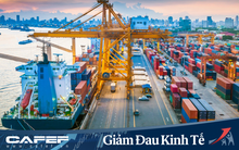 Viện trưởng Viện Nghiên cứu Phát triển Mekong: Hậu Covid-19, Việt Nam sẽ thực sự "lột xác" nếu biết tận dụng lợi thế