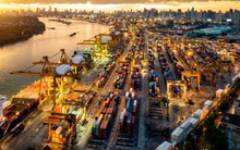 Giám đốc điều hành Amcham: Covid-19 đã củng cố quyết định sang Việt Nam của nhiều công ty, khẳng định chiến lược Trung Quốc+1