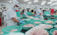Mỹ giảm thuế chống bán phá giá đối với cá tra – basa