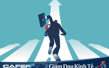 Liên tục kịch trần từ đáy, quỹ đầu tư ngoại xả hàng tại FRT, BFC, DBC