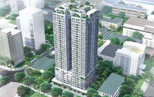 Bất động sản Netland (NRC): Quý 1 báo lỗ 30 tỷ đồng