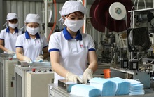 Chính phủ bỏ quy định cấp phép xuất khẩu khẩu trang y tế